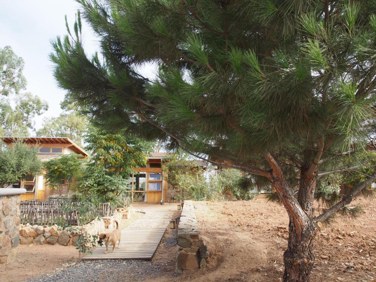 ואלה דה גוואדלופה Casa Mayoral B&B Pet Friendly מראה חיצוני תמונה