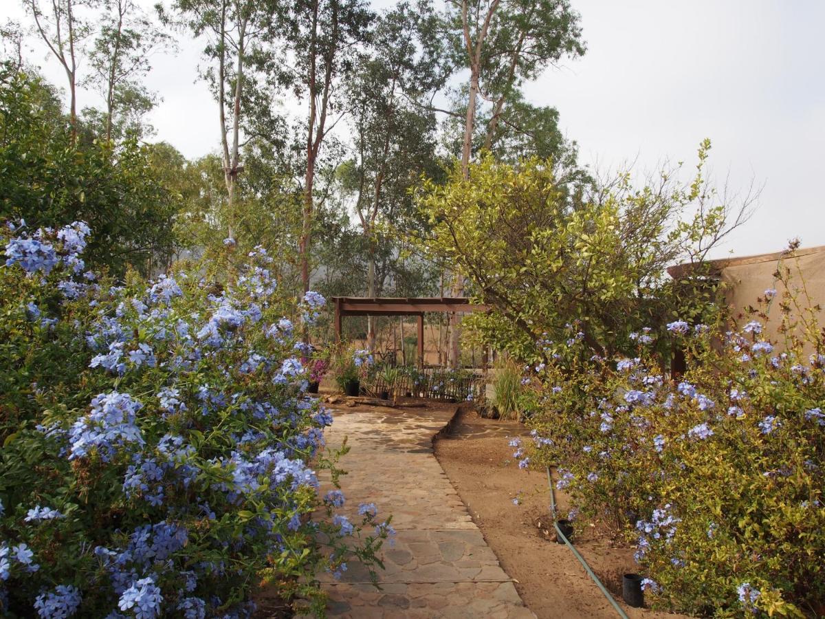 ואלה דה גוואדלופה Casa Mayoral B&B Pet Friendly מראה חיצוני תמונה